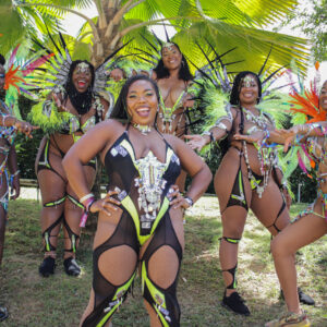 import placeholder for trinicar2024